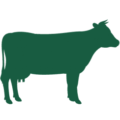 Green Cow Icon