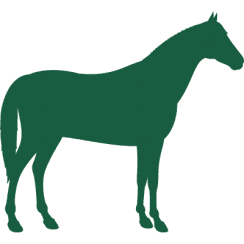 A clean green silhouette of a horse facing right, shown as a simple solid shape.