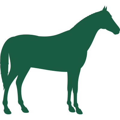 A clean green silhouette of a horse facing right, shown as a simple solid shape.