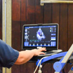 pony having ultrasound