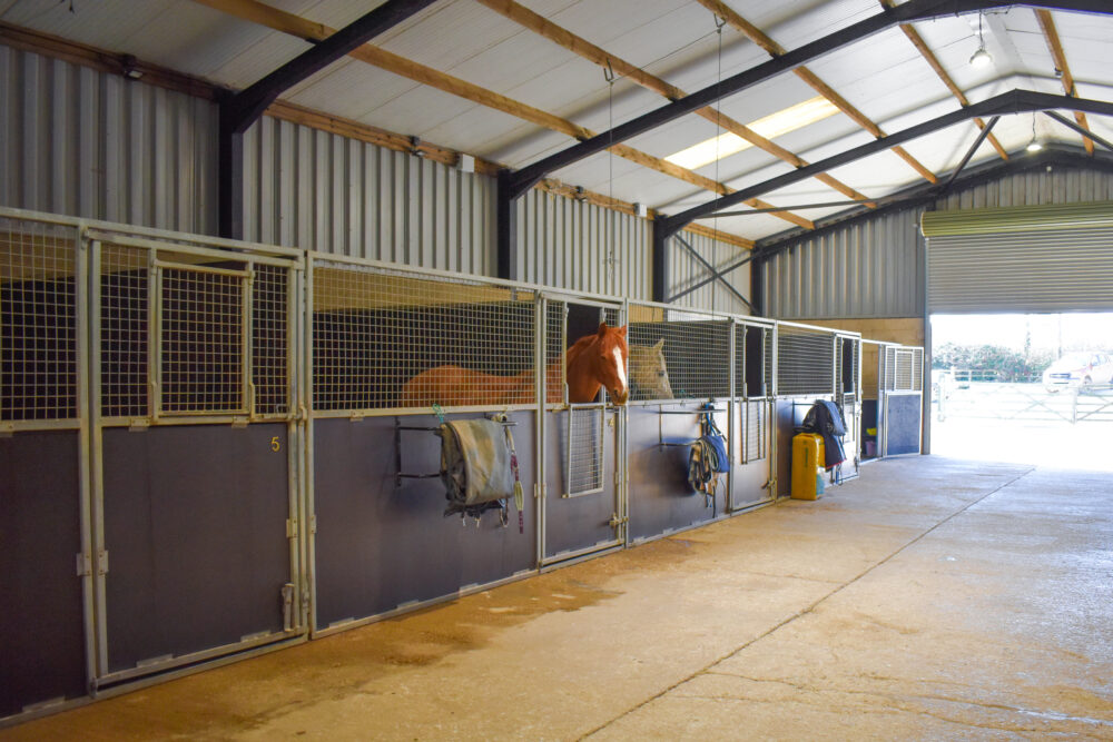 vet horse yard