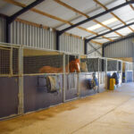 vet horse yard