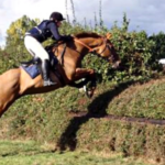 equine endoscopy
