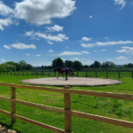 horse lameness