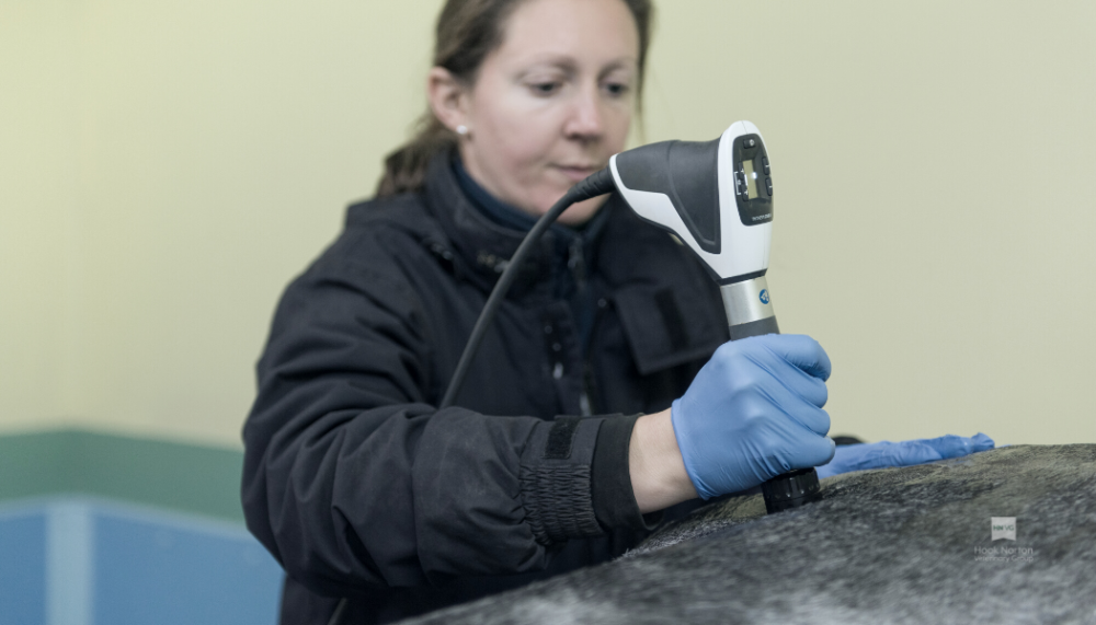 shockwave therapy