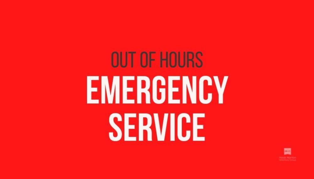 Emergency Service