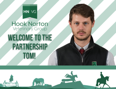 partner director