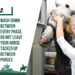 cooling your horse