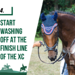 cooling your horse