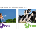 xlvets equine Hook Norton