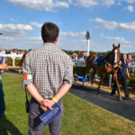 vets watching horses in parade ring