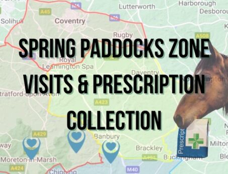 spring paddocks equine