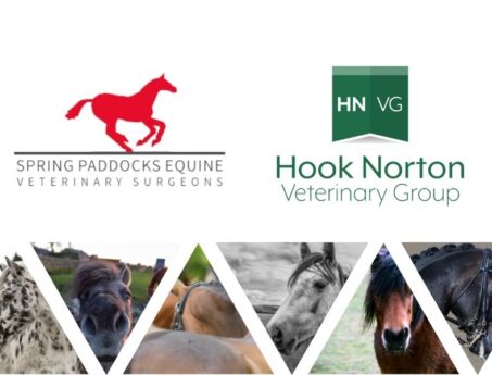 Hook Norton Spring paddocks Equine Ltd