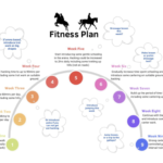 horse fitness