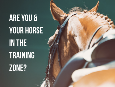 horse fitness