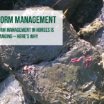equine worm management