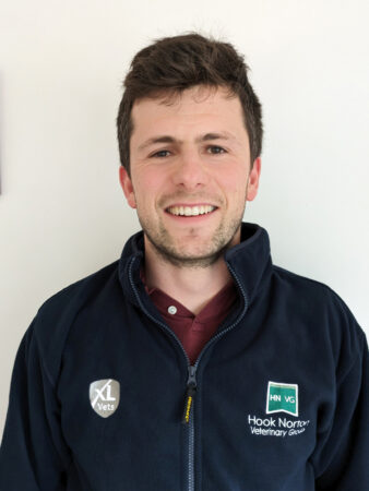 Toby McAlpine, equine vet