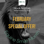 equine smile month