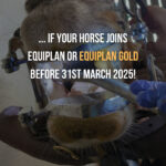 equine smile month