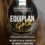 equine smile month