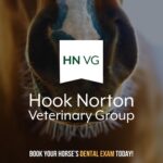equine smile month
