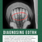 Equine Odontoclastic Tooth resorption and Hypercementosis