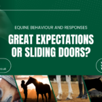 equine behaviour and responses slider