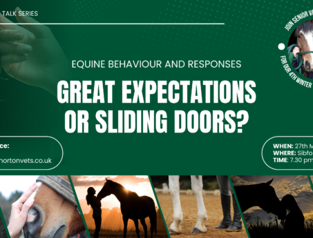 equine behaviour and responses slider