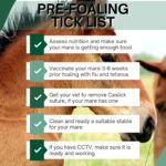 foaling