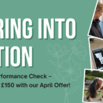 Spring Performance Check