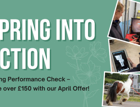 Spring Performance Check