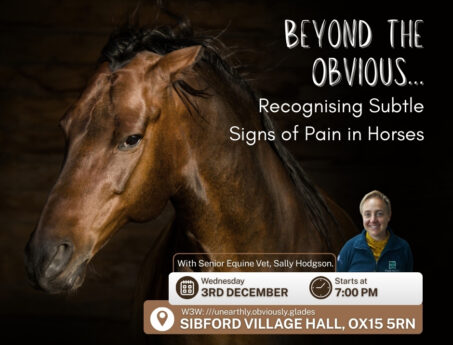 chronic pain in horses