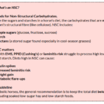 Equine metabolic conditions