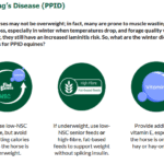 equine metabolic conditions