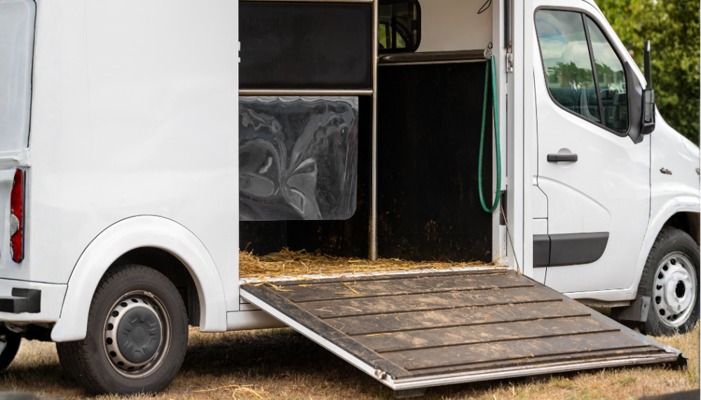 white horse transporter side opening