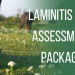 laminitis risk package