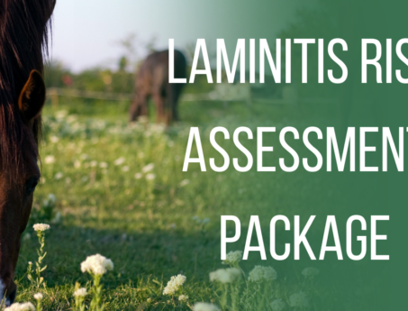 laminitis risk package