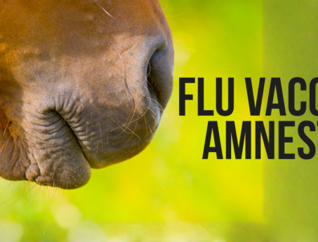 Equine Flu Vaccination