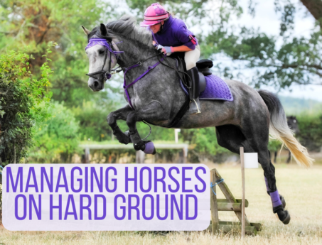 managing horses on firm ground