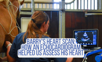 Vet performing an echocardiogram on Barry the horse in his stable