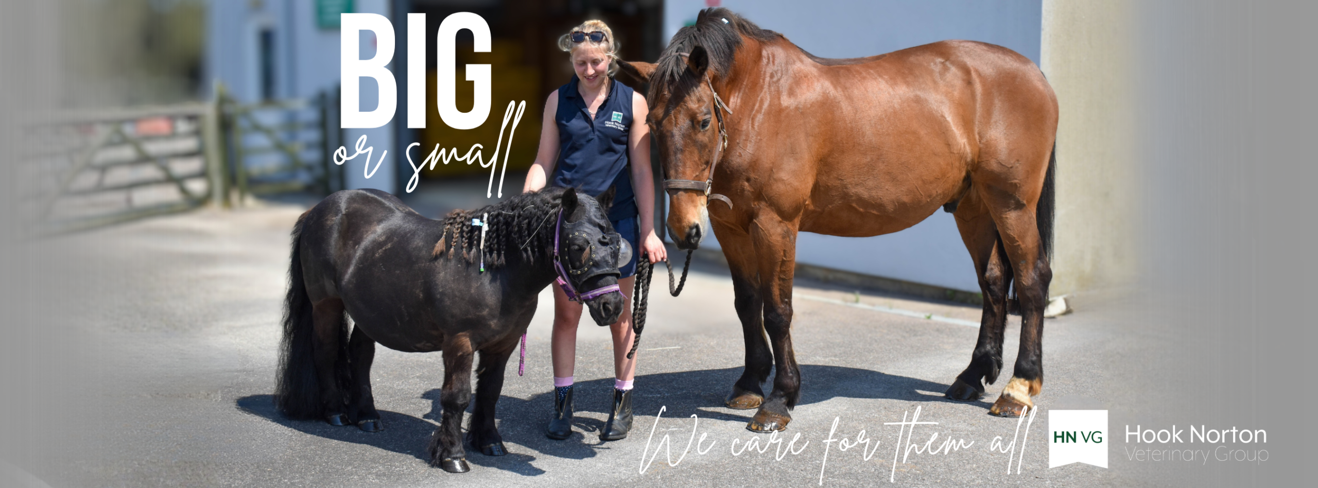 small pony and big horse outside vets